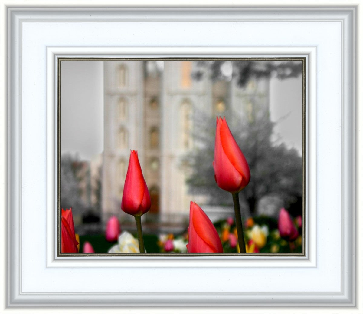 Salt Lake City Temple Beginning Transformation