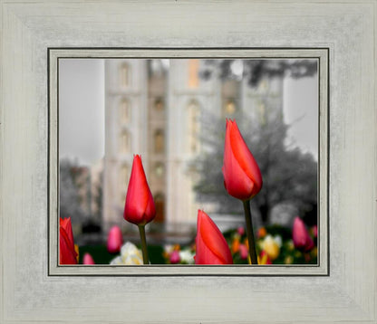 Salt Lake City Temple Beginning Transformation
