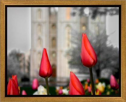 Salt Lake City Temple Beginning Transformation Gallery Wrap