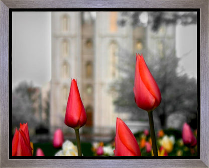 Salt Lake City Temple Beginning Transformation Gallery Wrap
