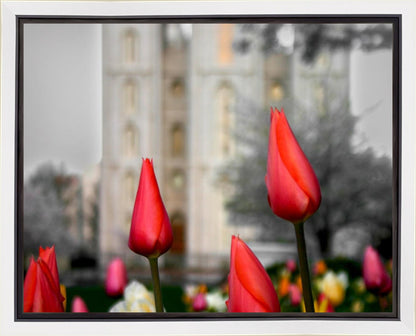 Salt Lake City Temple Beginning Transformation Gallery Wrap