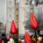 Salt Lake City Temple Beginning Transformation