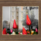 Salt Lake City Temple Beginning Transformation