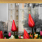 Salt Lake City Temple Beginning Transformation
