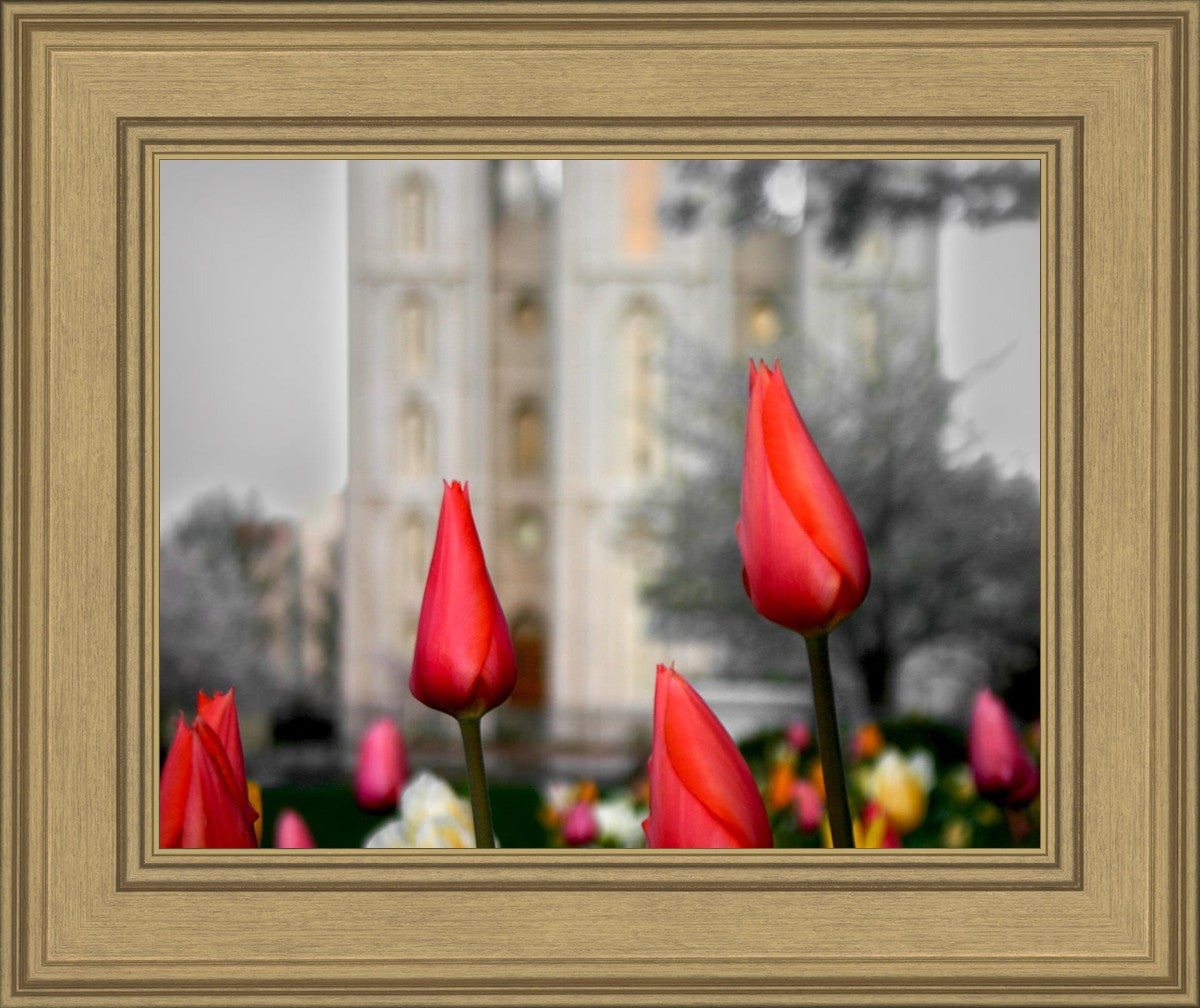 Salt Lake City Temple Beginning Transformation