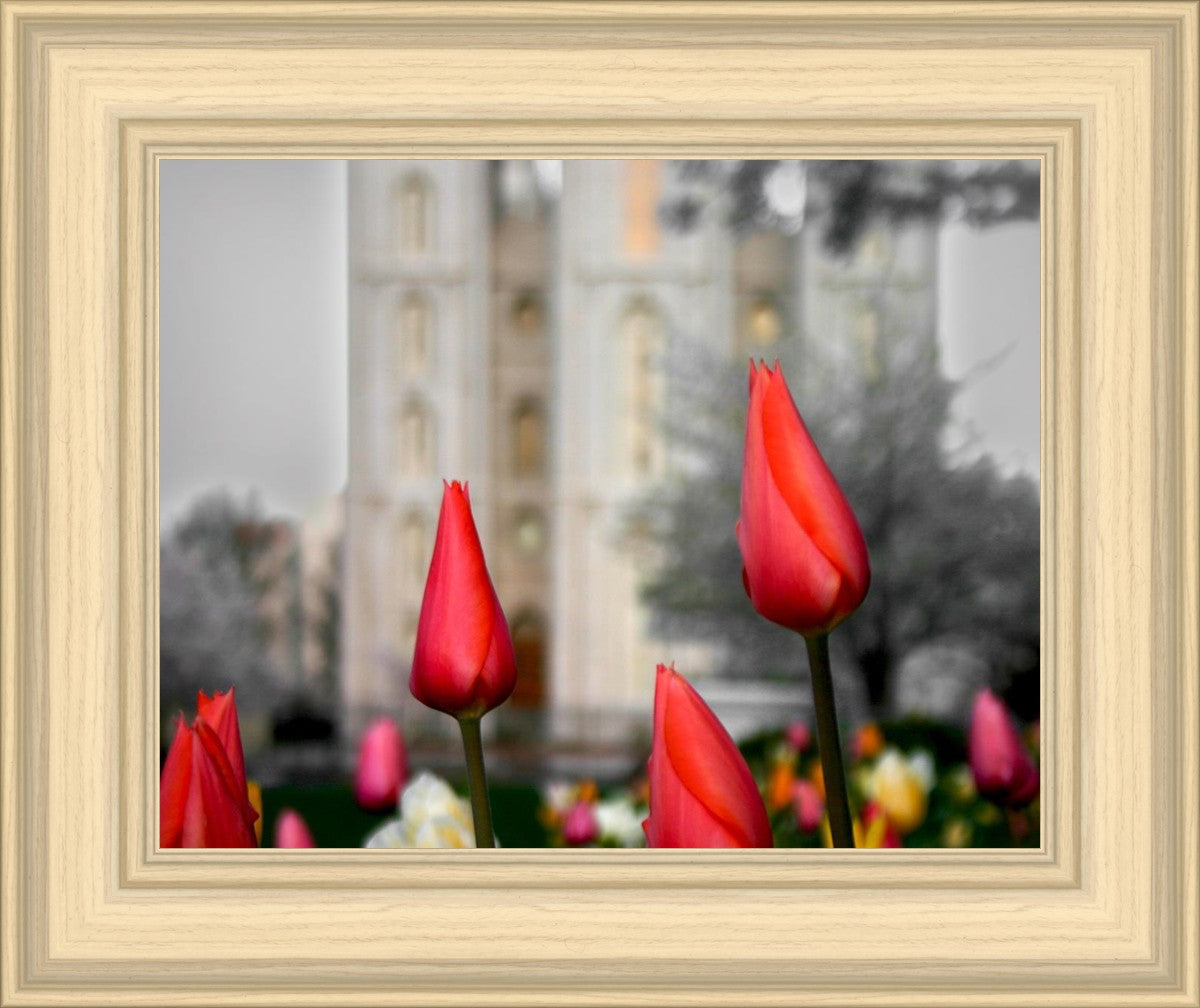 Salt Lake City Temple Beginning Transformation