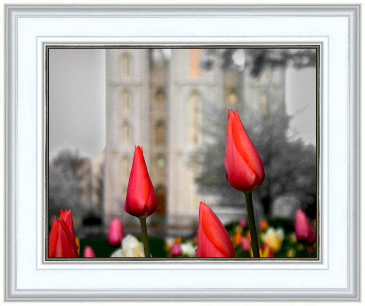 Salt Lake City Temple Beginning Transformation