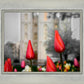 Salt Lake City Temple Beginning Transformation