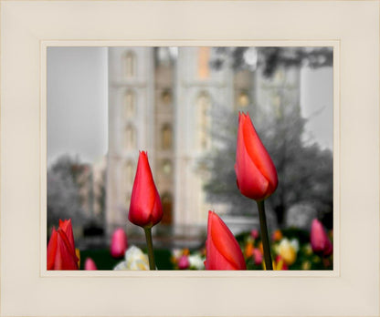 Salt Lake City Temple Beginning Transformation