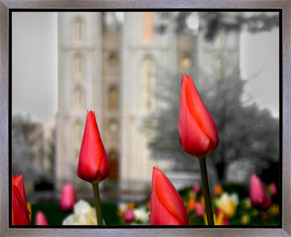 Salt Lake City Temple Beginning Transformation Gallery Wrap