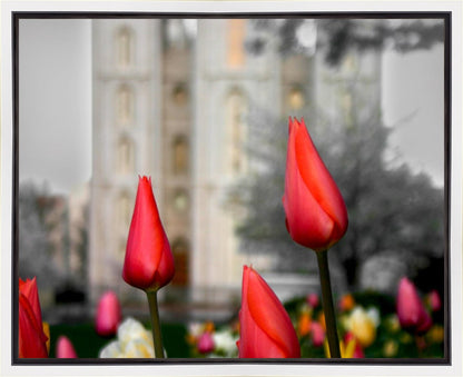 Salt Lake City Temple Beginning Transformation Gallery Wrap