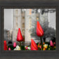 Salt Lake City Temple Beginning Transformation