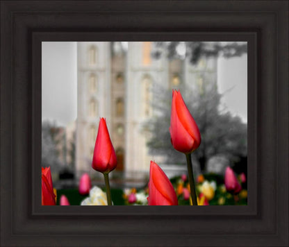 Salt Lake City Temple Beginning Transformation