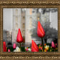 Salt Lake City Temple Beginning Transformation