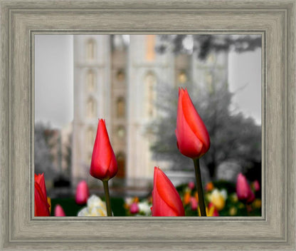 Salt Lake City Temple Beginning Transformation