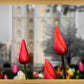 Salt Lake City Temple Beginning Transformation