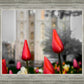 Salt Lake City Temple Beginning Transformation