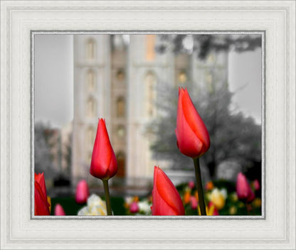 Salt Lake City Temple Beginning Transformation