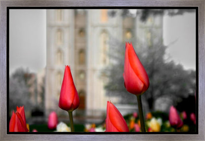 Salt Lake City Temple Beginning Transformation Gallery Wrap