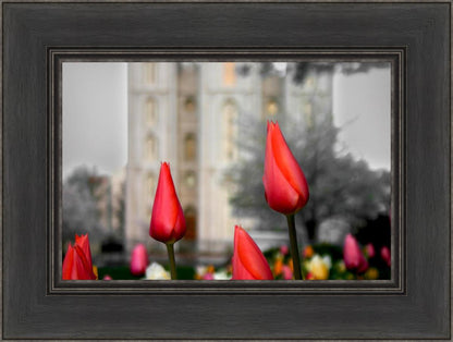 Salt Lake City Temple Beginning Transformation