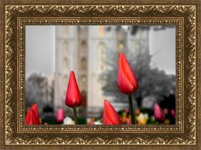 Salt Lake City Temple Beginning Transformation