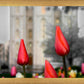 Salt Lake City Temple Beginning Transformation