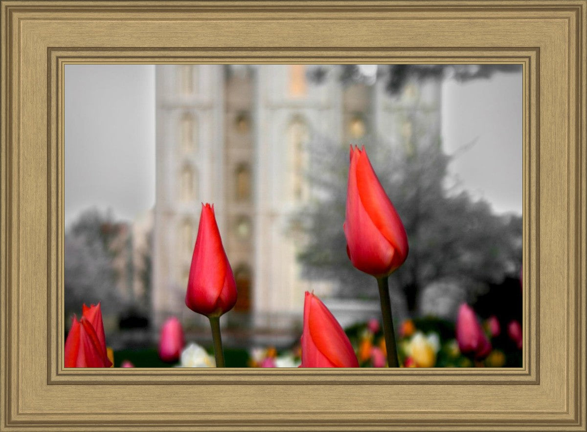 Salt Lake City Temple Beginning Transformation