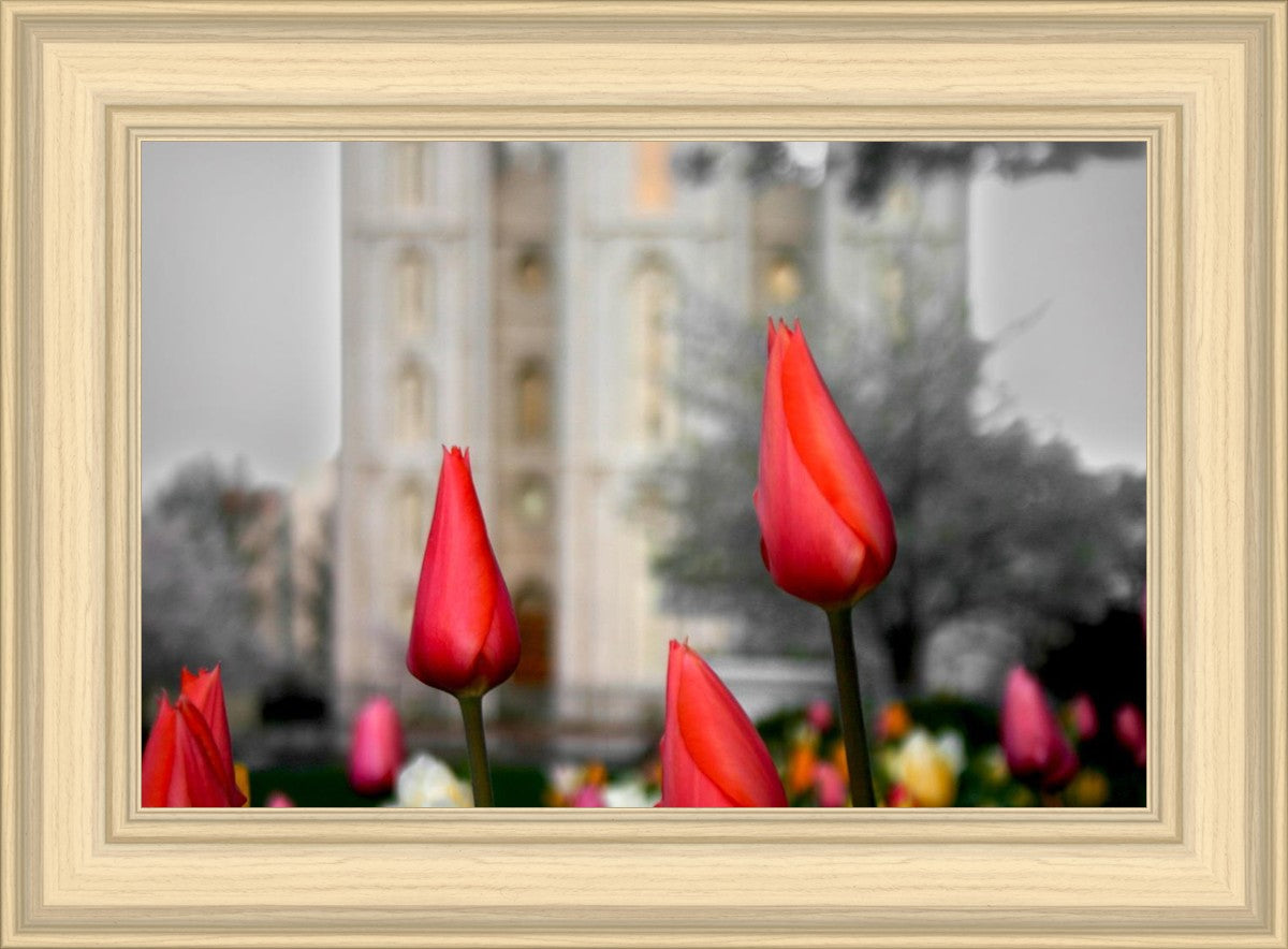 Salt Lake City Temple Beginning Transformation
