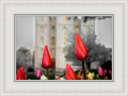 Salt Lake City Temple Beginning Transformation