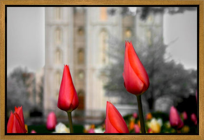 Salt Lake City Temple Beginning Transformation Gallery Wrap