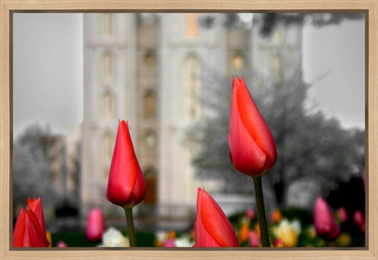 Salt Lake City Temple Beginning Transformation Gallery Wrap