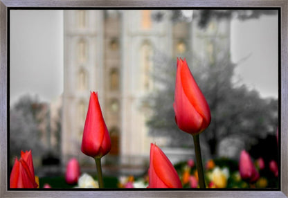 Salt Lake City Temple Beginning Transformation Gallery Wrap