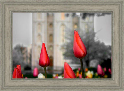 Salt Lake City Temple Beginning Transformation