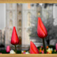 Salt Lake City Temple Beginning Transformation