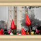 Salt Lake City Temple Beginning Transformation