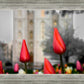 Salt Lake City Temple Beginning Transformation
