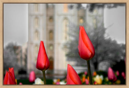 Salt Lake City Temple Beginning Transformation Gallery Wrap