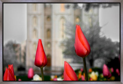 Salt Lake City Temple Beginning Transformation Gallery Wrap