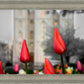 Salt Lake City Temple Beginning Transformation
