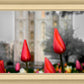 Salt Lake City Temple Beginning Transformation