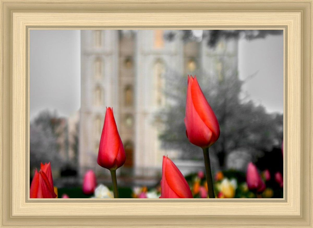Salt Lake City Temple Beginning Transformation