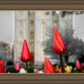 Salt Lake City Temple Beginning Transformation