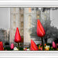 Salt Lake City Temple Beginning Transformation