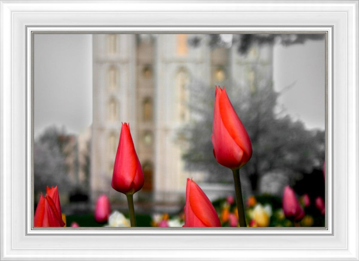 Salt Lake City Temple Beginning Transformation