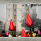 Salt Lake City Temple Beginning Transformation