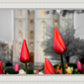 Salt Lake City Temple Beginning Transformation