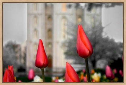 Salt Lake City Temple Beginning Transformation Gallery Wrap