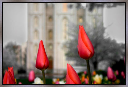 Salt Lake City Temple Beginning Transformation Gallery Wrap