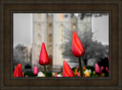 Salt Lake City Temple Beginning Transformation