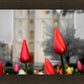 Salt Lake City Temple Beginning Transformation
